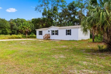 Withlacoochee River Home For Sale in Inglis Florida