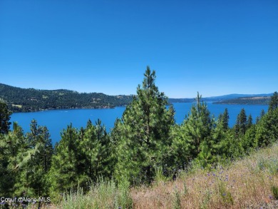 Lake Lot For Sale in Harrison, Idaho