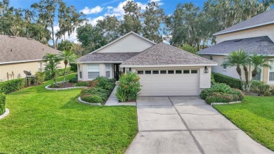 Lake Home Sale Pending in Lakeland, Florida