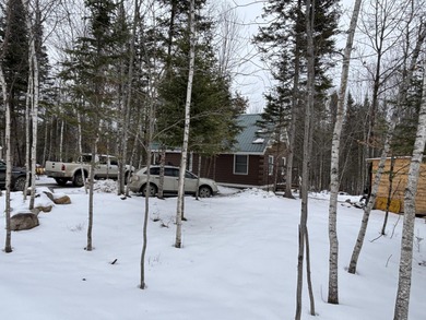 (private lake, pond, coastal) Home For Sale in Saint Albans Maine