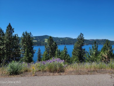 Lake Lot For Sale in Harrison, Idaho