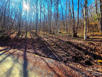 (private lake, pond, coastal) Lot For Sale in Waynesville North Carolina