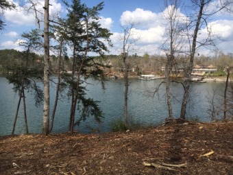 Main Channel Deep Water Lot On Smith Lake - Lake Lot For Sale in Double Springs, Alabama