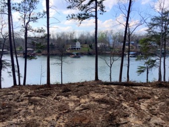 Over 200 Feet Of Pristine Waterfront On A Point - Lake Lot For Sale in Double Springs, Alabama