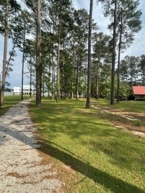 PRIME Lake Eddins .62 Acre West Side Wooded Lot  - Lake Lot For Sale in Pachuta, Mississippi