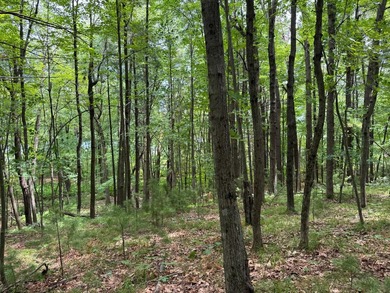 Build your dream lake home or Northwoods retreat on beautiful - photo 11