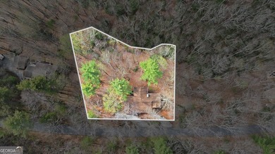 This completely remodeled 4-bedroom, 3.5-bathroom home sits off - photo 43
