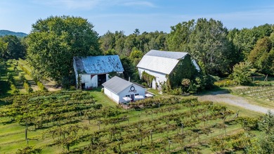 Bass Lake - Mason County Commercial For Sale in Pentwater Michigan