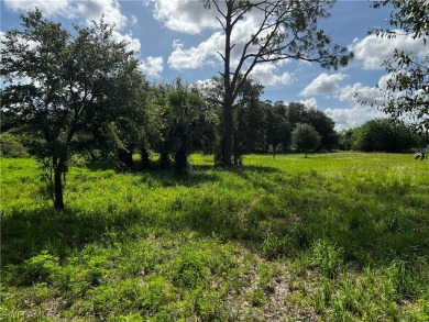 (private lake, pond, creek) Lot For Sale in Clewiston Florida