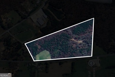 Lake Acreage For Sale in Ellijay, Georgia