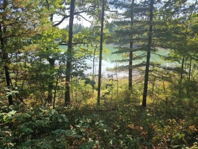 Lake Lot For Sale in Baldwin, Michigan