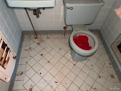 This spacious propertysits in an established residential - photo 19