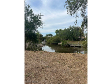 Lake Lot For Sale in Alva, Florida