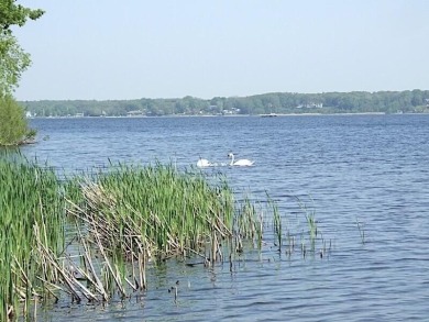 Rare Waterfront Development Opportunity on Muskegon Lake! One of - photo 6