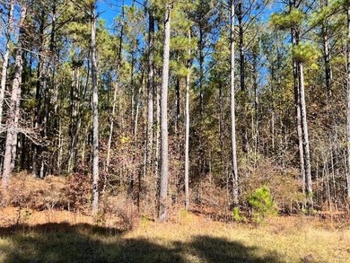 Strom Thurmond / Clarks Hill Lake Lot For Sale in Lincolnton Georgia