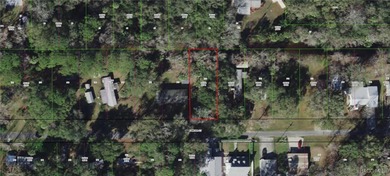 Lake Hernando Lot For Sale in Inverness Florida