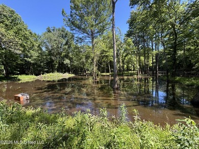 Booger Bottom Plantation - A True Year-Round Sportsman's - photo 2