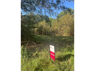 Lake Lot For Sale in Mabank, Texas