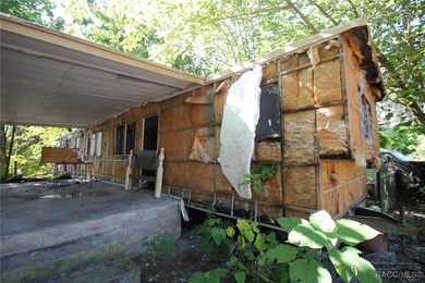 Lake Home For Sale in Hernando, Florida