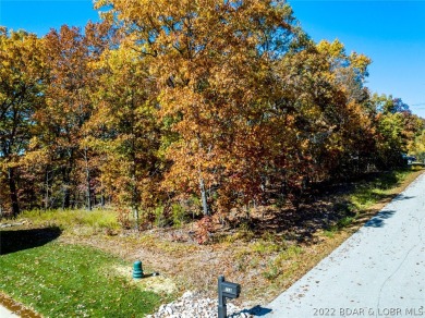 Lake of the Ozarks Lot For Sale in Lake  Ozark Missouri