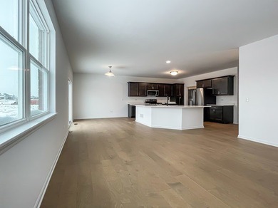 NEW Duplex Townhomes in New Lenox ~ DUPLEX Bldg. 54 is Under - photo 6