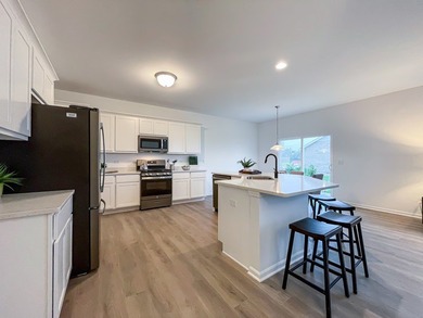 NEW Duplex Townhomes in New Lenox ~ DUPLEX Bldg. 54 is Under - photo 7