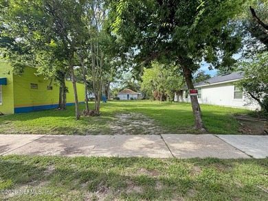 Two-parcel offering in Jacksonville's Northwest Jacksonville / - photo 3