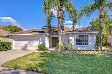 Lake Home For Sale in Lutz, Florida