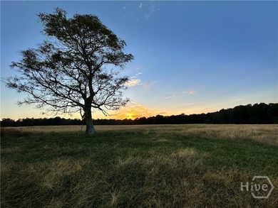 Watksinville's most famous fishing spot could be your private - photo 3