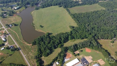 Watksinville's most famous fishing spot could be your private - photo 5