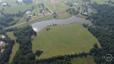 Watksinville's most famous fishing spot could be your private - photo 8