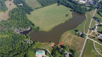 Watksinville's most famous fishing spot could be your private - photo 10