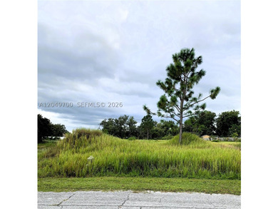 Lake Marion - Polk County Lot For Sale in Poinciana Florida