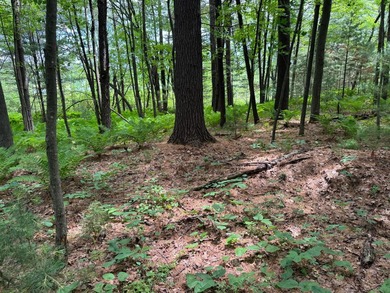 Build your dream lake home or Northwoods retreat on beautiful - photo 13