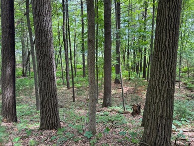 Build your dream lake home or Northwoods retreat on beautiful - photo 14