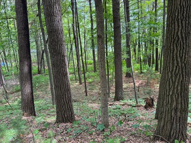 Build your dream lake home or Northwoods retreat on beautiful - photo 15