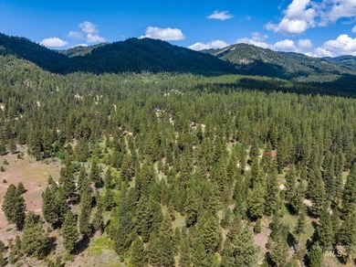 Welcome to Trail Creek Meadows at TRIPLE CREEK RESERVE, Idaho's - photo 16