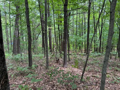 Build your dream lake home or Northwoods retreat on beautiful - photo 16
