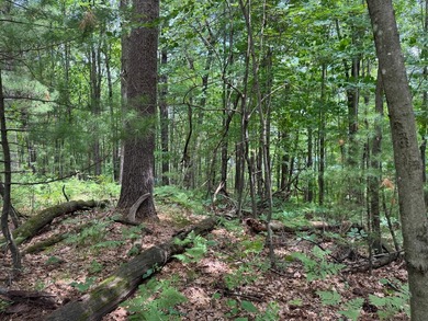 Build your dream lake home or Northwoods retreat on beautiful - photo 17