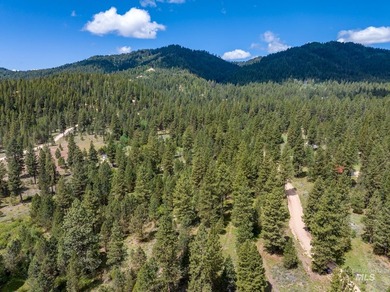 Welcome to Trail Creek Meadows at TRIPLE CREEK RESERVE, Idaho's - photo 18