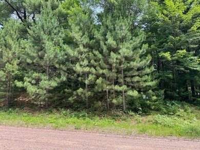 Build your dream lake home or Northwoods retreat on beautiful - photo 18
