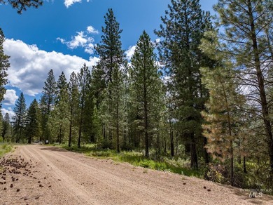 Welcome to Trail Creek Meadows at TRIPLE CREEK RESERVE, Idaho's - photo 20