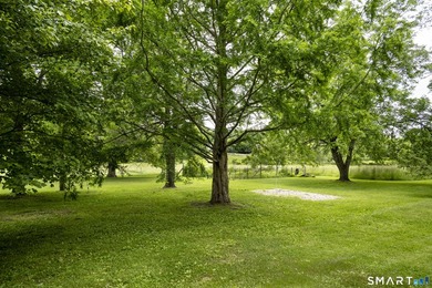 Blackberry River Oasis! With 1,100 feet of frontage on the - photo 23