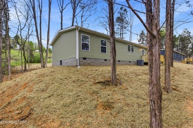 Step into this brand-new single-level home, featuring a fresh - photo 25