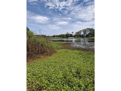 Almost an Acre +- On Lake Lehigh, In the Estate Area of Deltona - photo 1