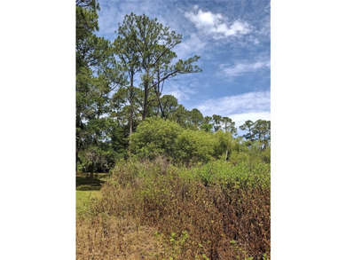 Almost an Acre +- On Lake Lehigh, In the Estate Area of Deltona - photo 3