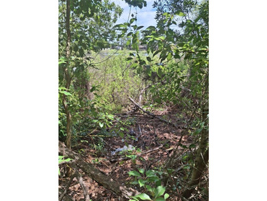 Almost an Acre +- On Lake Lehigh, In the Estate Area of Deltona - photo 4