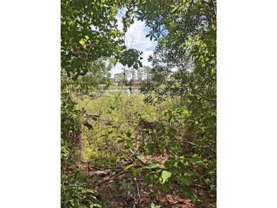 Almost an Acre +- On Lake Lehigh, In the Estate Area of Deltona - photo 5