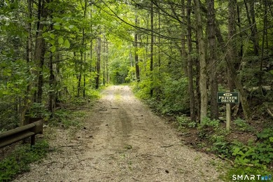 Blackberry River Oasis! With 1,100 feet of frontage on the - photo 36