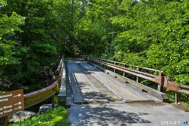 Blackberry River Oasis! With 1,100 feet of frontage on the - photo 38
